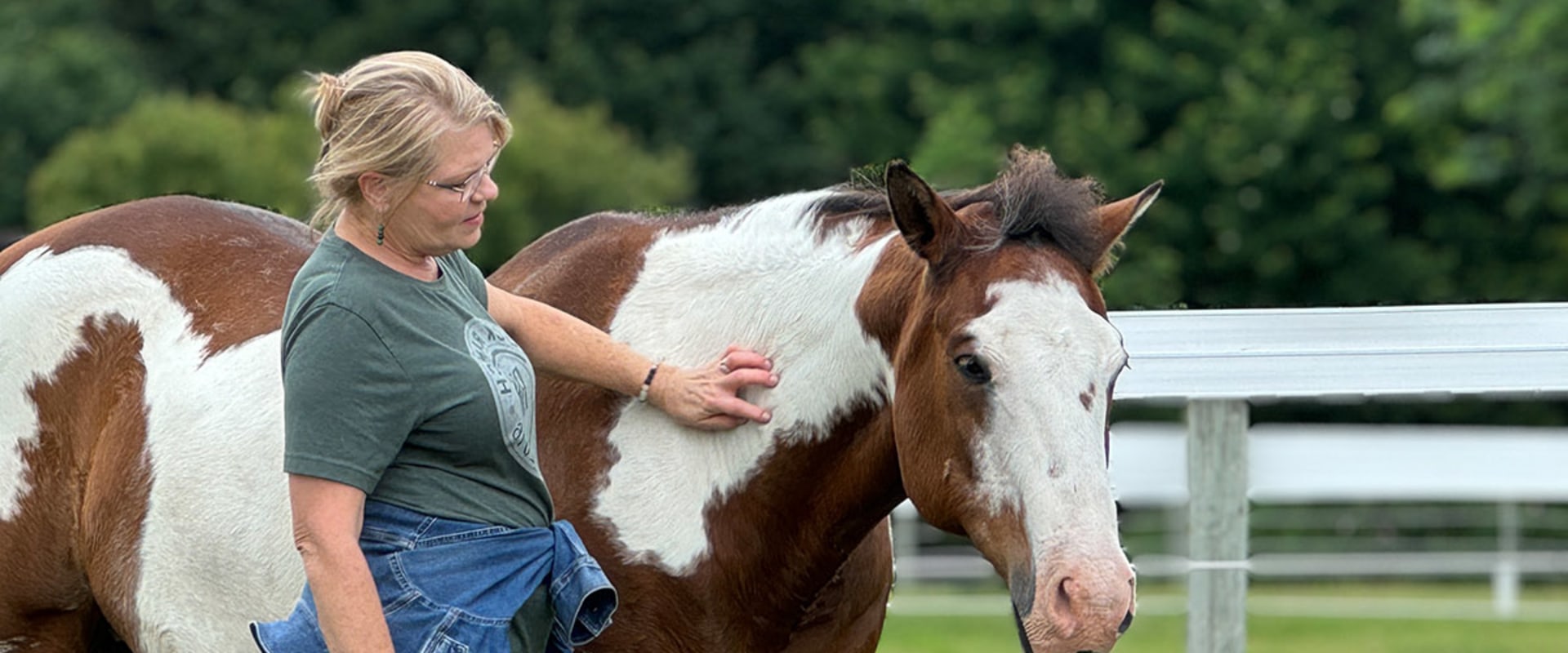 Success Stories of Adopted Horses in Florida: Inspiring Tales of Rescue and Redemption