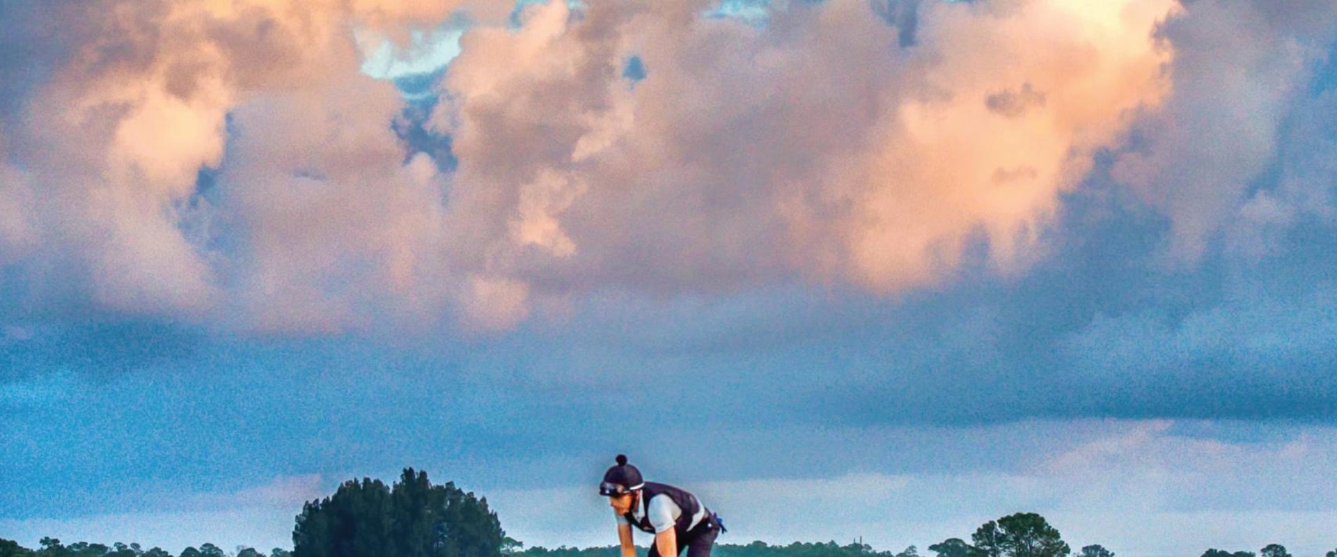 Thoroughbred Horses in Florida: A Comprehensive Guide