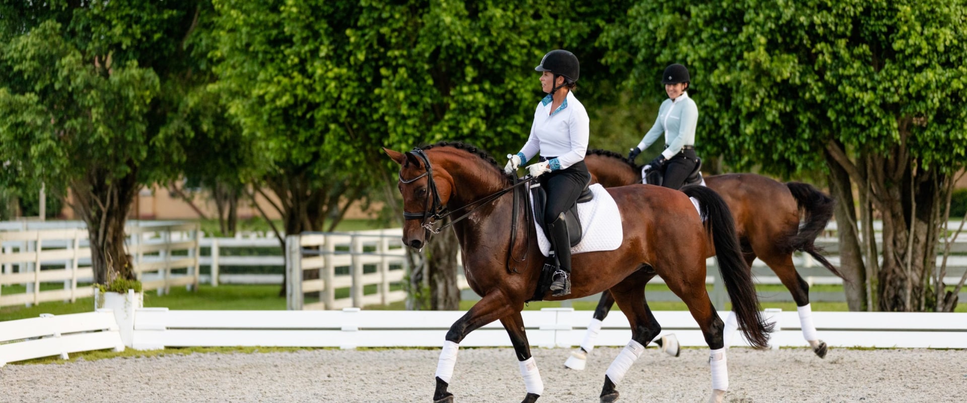 Dressage Competitions in Florida: Everything You Need to Know