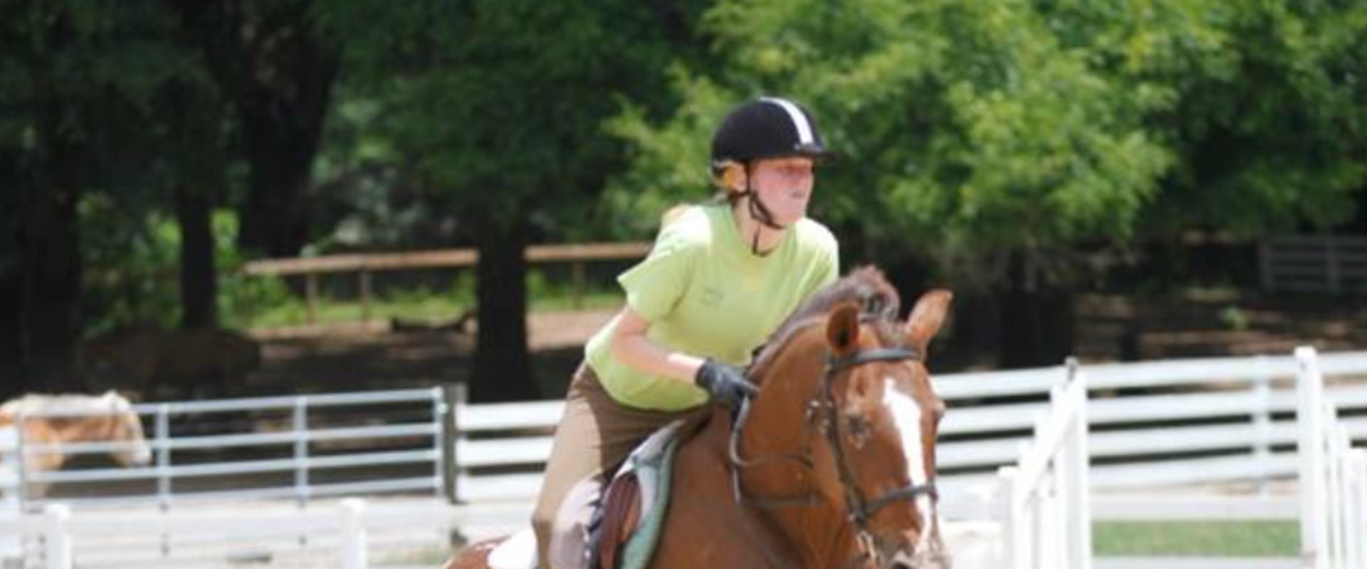 All You Need to Know About English Riding Lessons in Florida