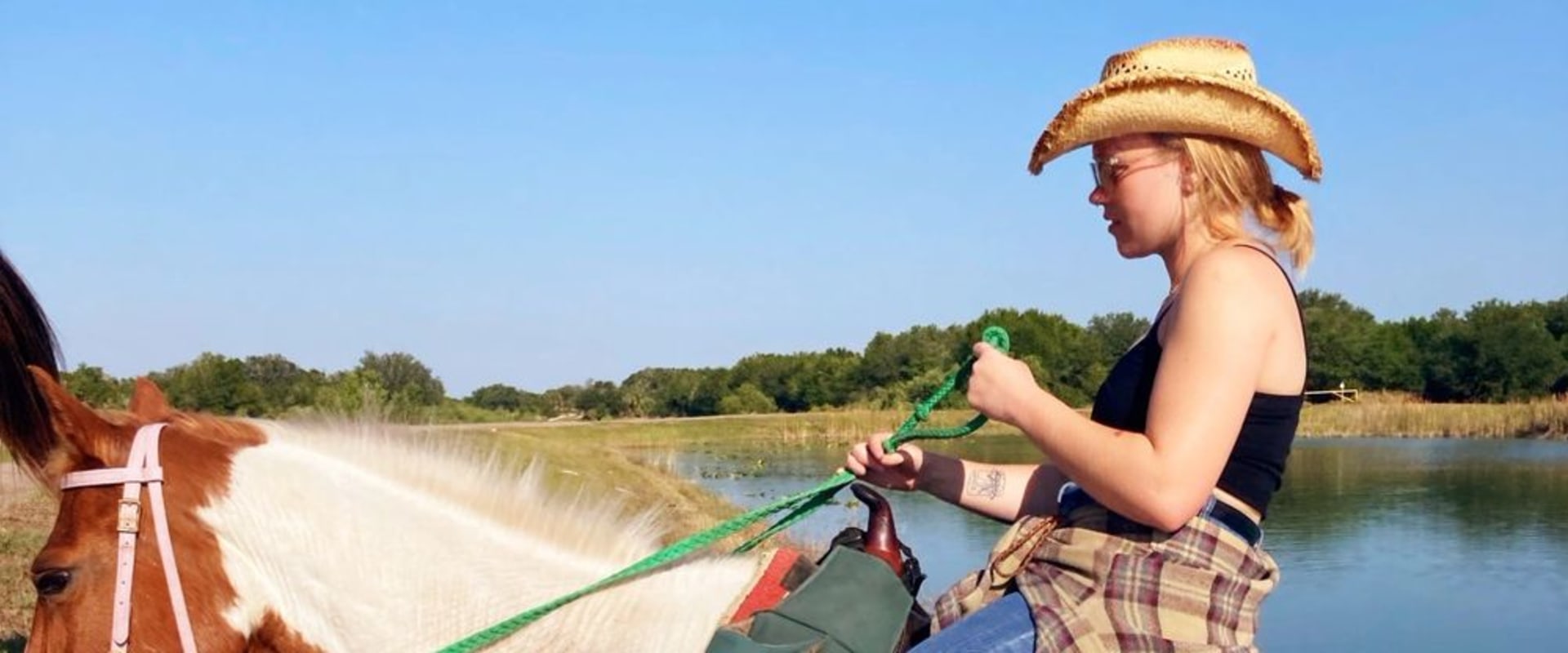 A Beginner's Guide to Western Riding Lessons in Florida
