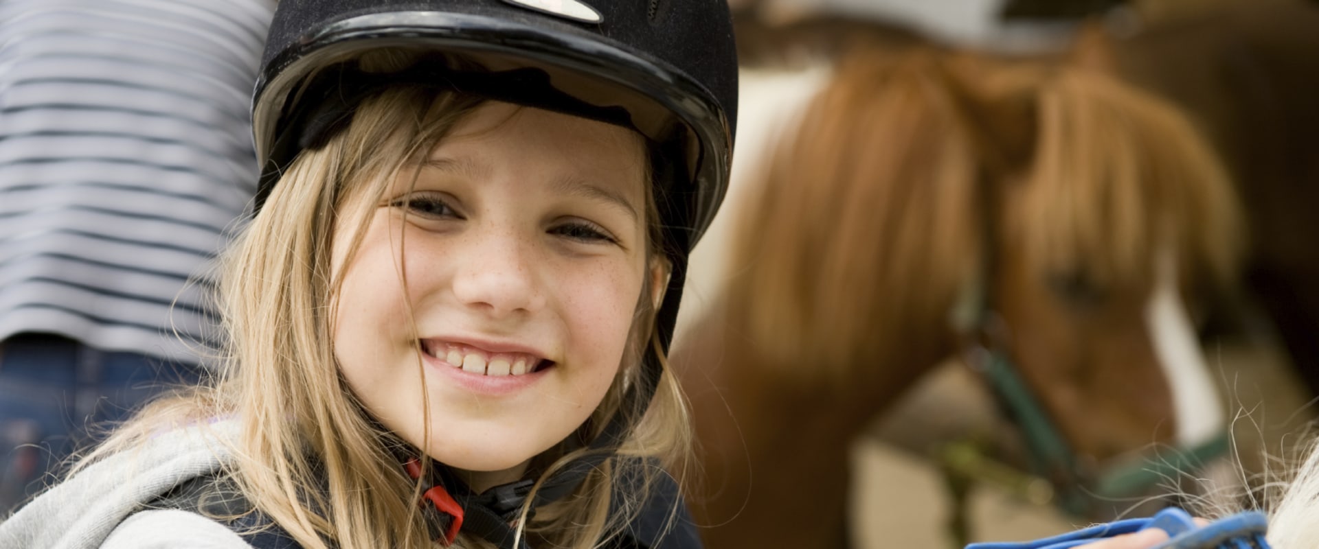 Emergency Care for Horses in Florida: Tips and Resources for Equestrians