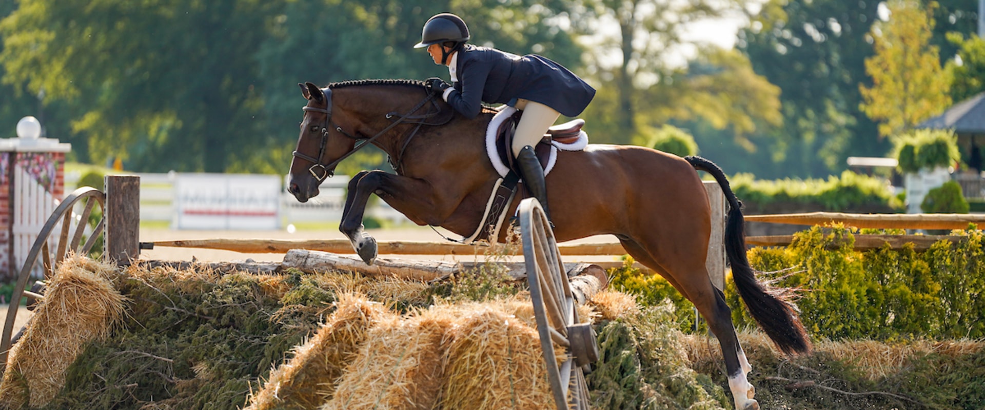 Exploring the Exciting World of Hunter/Jumper Shows in Florida