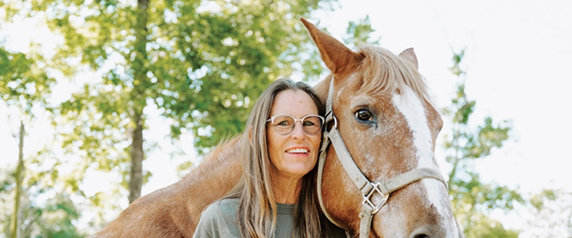 Rescue Horses Available for Adoption: A Comprehensive Guide to Horse Rescue Organizations in Florida