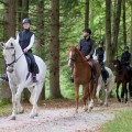 Tips for Safe Trail Riding in Florida