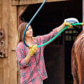 Bathing and Brushing Tips for Florida Horses