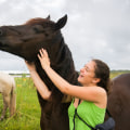 Exploring the Roles and Responsibilities of Horse Rescue Volunteers in Florida