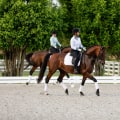 Dressage Competitions in Florida: Everything You Need to Know