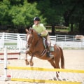 All You Need to Know About English Riding Lessons in Florida