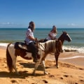 Exploring Florida's Equestrian Events and Activities