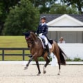 Exploring the Beautiful and Rare Choctaw Horse: A Comprehensive Look into Florida's Equestrian Scene