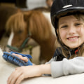 Emergency Care for Horses in Florida: Tips and Resources for Equestrians
