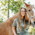 Rescue Horses Available for Adoption: A Comprehensive Guide to Horse Rescue Organizations in Florida