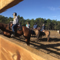 Camping Options for Equestrians in Florida