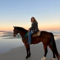 Discover Florida's Equestrian Scene: Beach Rides and Sunset Tours