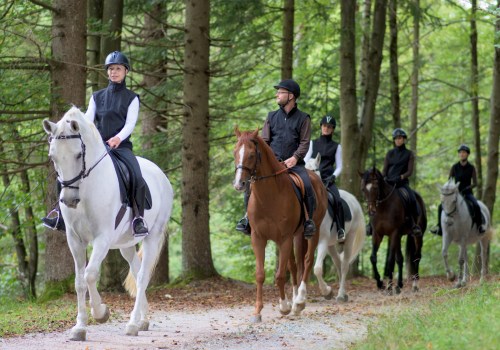 Tips for Safe Trail Riding in Florida