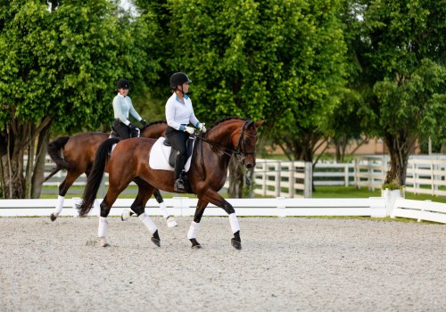 Dressage Competitions in Florida: Everything You Need to Know
