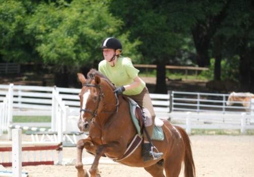 All You Need to Know About English Riding Lessons in Florida