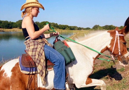 A Beginner's Guide to Western Riding Lessons in Florida
