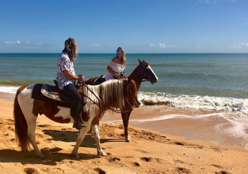 Exploring Florida's Equestrian Events and Activities