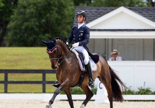 Exploring the Beautiful and Rare Choctaw Horse: A Comprehensive Look into Florida's Equestrian Scene