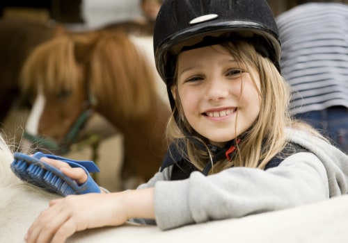 Emergency Care for Horses in Florida: Tips and Resources for Equestrians