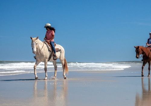 Explore the Exciting World of Horseback Riding Vacations in Florida