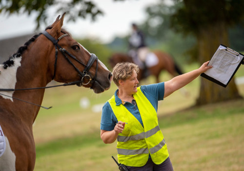 Benefits of Volunteering at a Horse Rescue