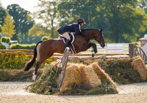 Exploring the Exciting World of Hunter/Jumper Shows in Florida
