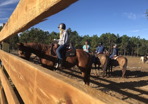 Camping Options for Equestrians in Florida