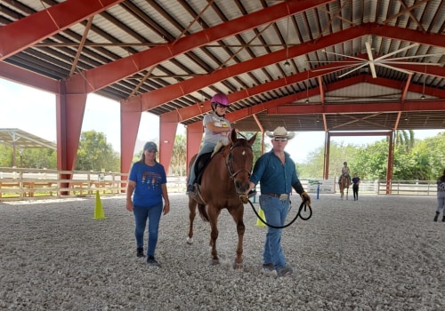 Impact of Donations on Rescued Horses: A Look at Florida's Equestrian Community