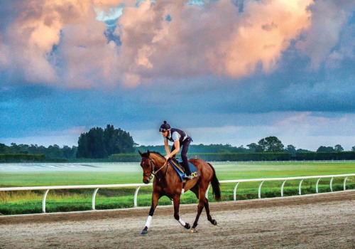 Horse Training Clinics in Florida: A Comprehensive Guide